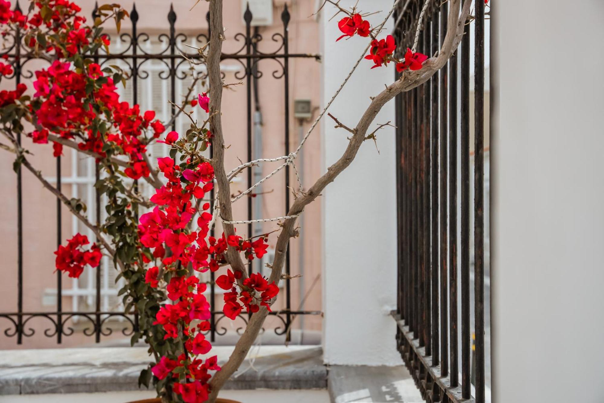 Archontiko Hotel Eleni Ándros Buitenkant foto